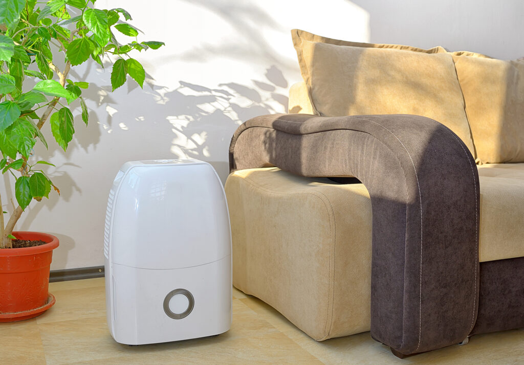 Portable dehumidifier collect water from air